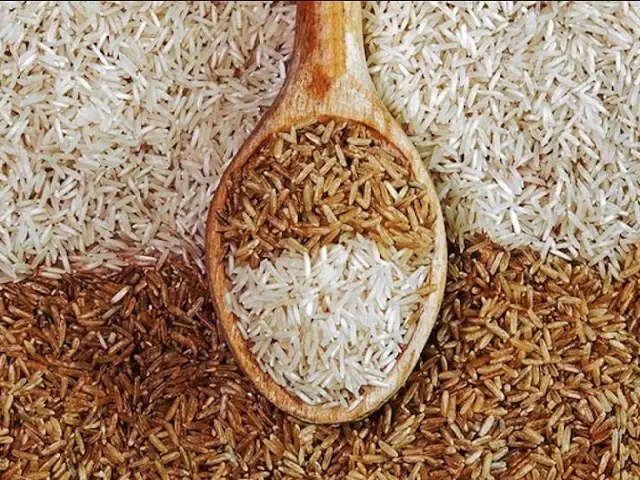 Pirinçler ve pirinç çeşitleri ile pirinçlerin özellikleri ve pirinçlerin şekilleri hakkında bilgiler sayfamızda paylaşılmıştır.